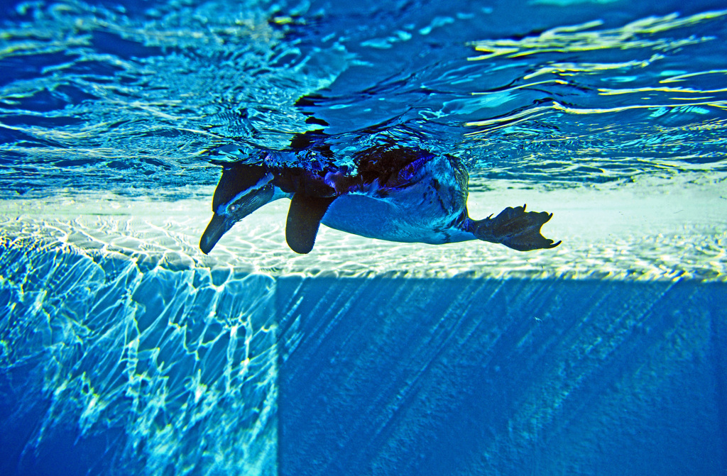 水と光のシンフォニー　IMG9976zz