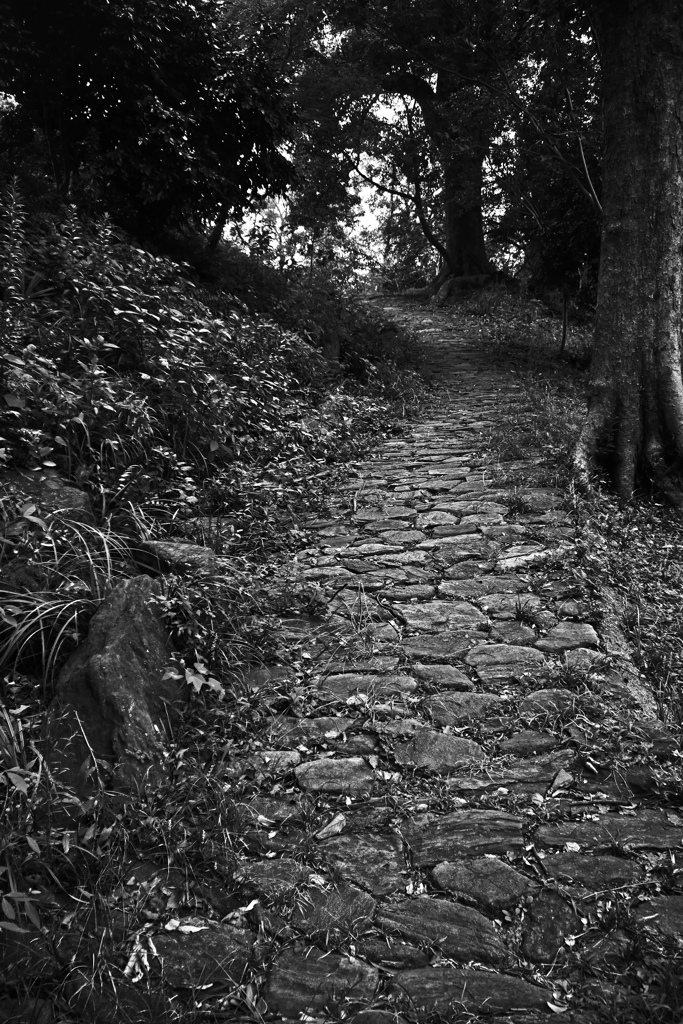 石畳の細い坂道　P1230460zz