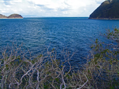 紀州 冬の海　DSC01826zz