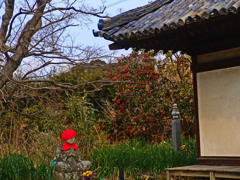 山茶花とお地蔵さん　D01842zz