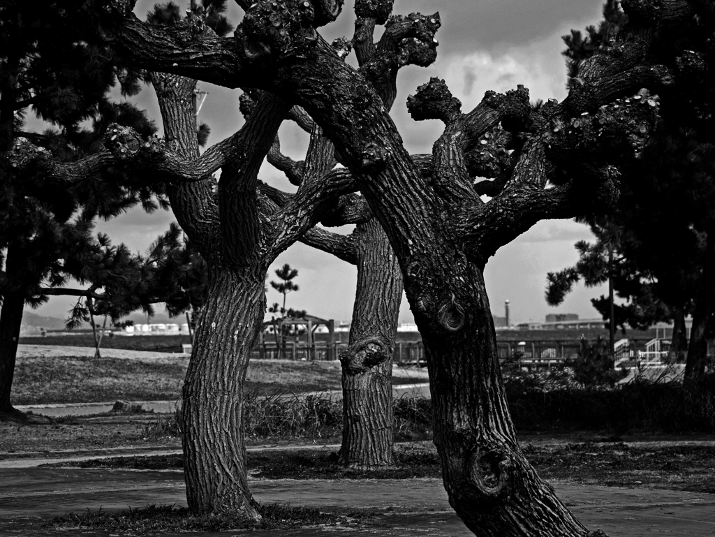 冬スタイル　P1070850zz