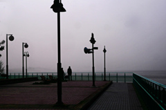 Foggy Bayside　P1320934zz