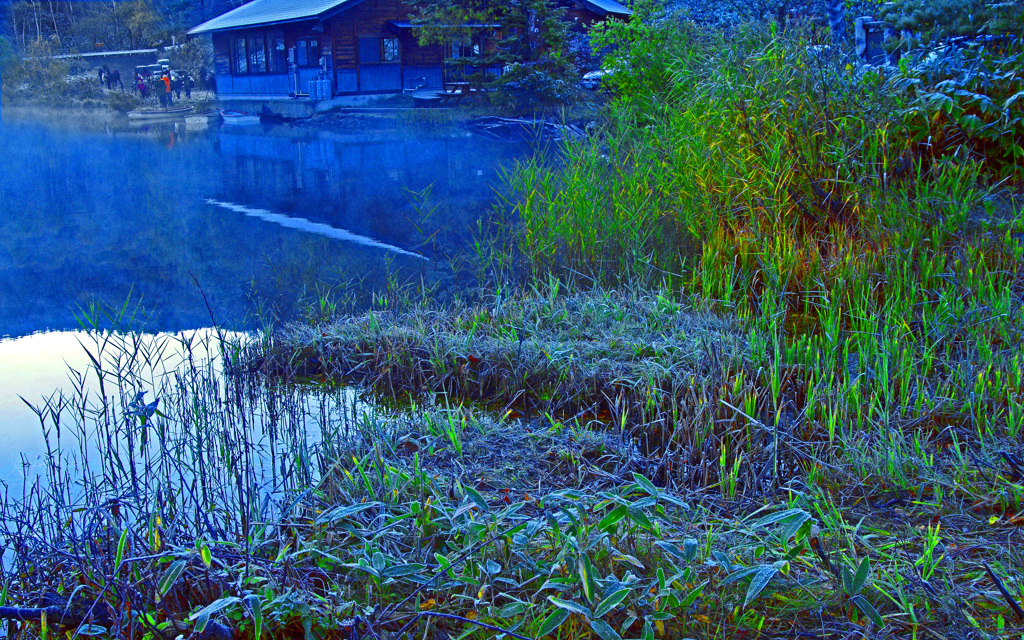 霜降る朝の賑わい　IMG8471z