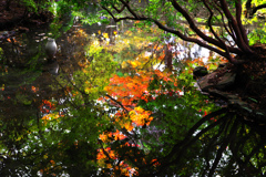 水 鏡　IMGP1752zz