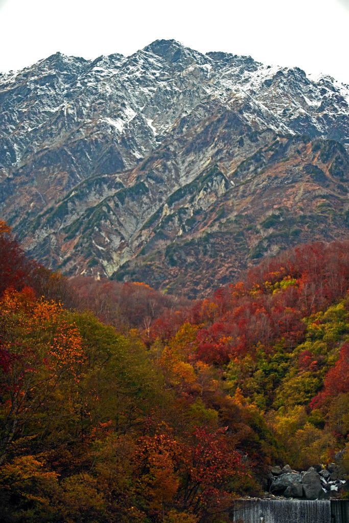 猿倉より白馬岳を望む　IMGP9543zz