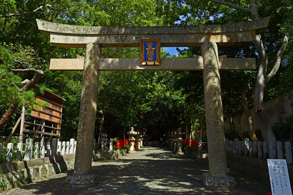 紀州東照宮　P1044045zz