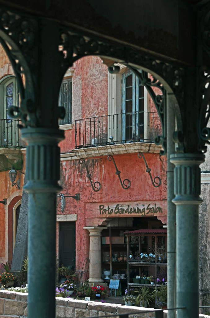 Flower shop　IMG9287zz