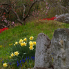 野仏と花　P1063618zz
