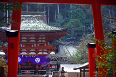 丹生都比売神社　IMGP1627zz