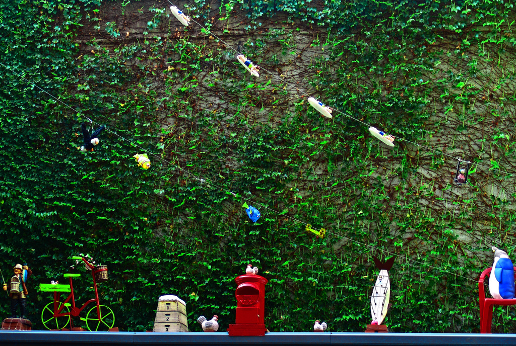 昨夜の夢　DSC00601zz