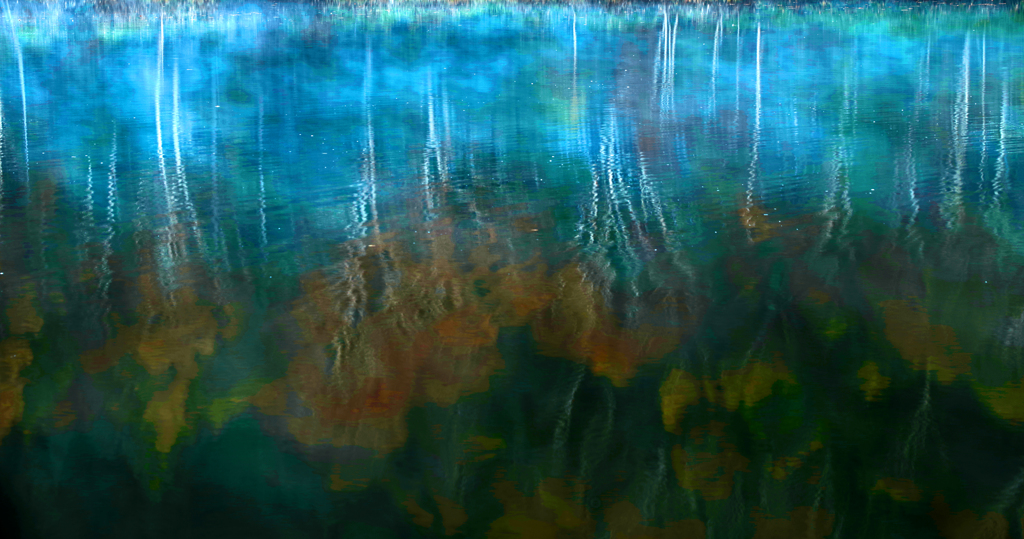 うたかたの夢　IMGP7274zzz