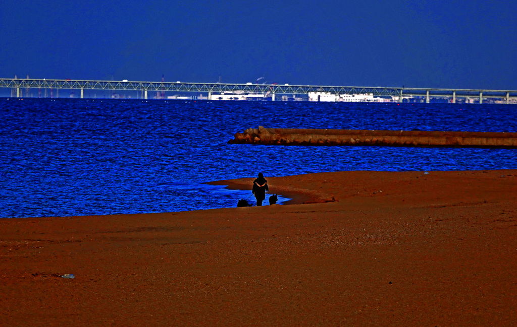 もうすぐ黄昏れ　P1810601zz