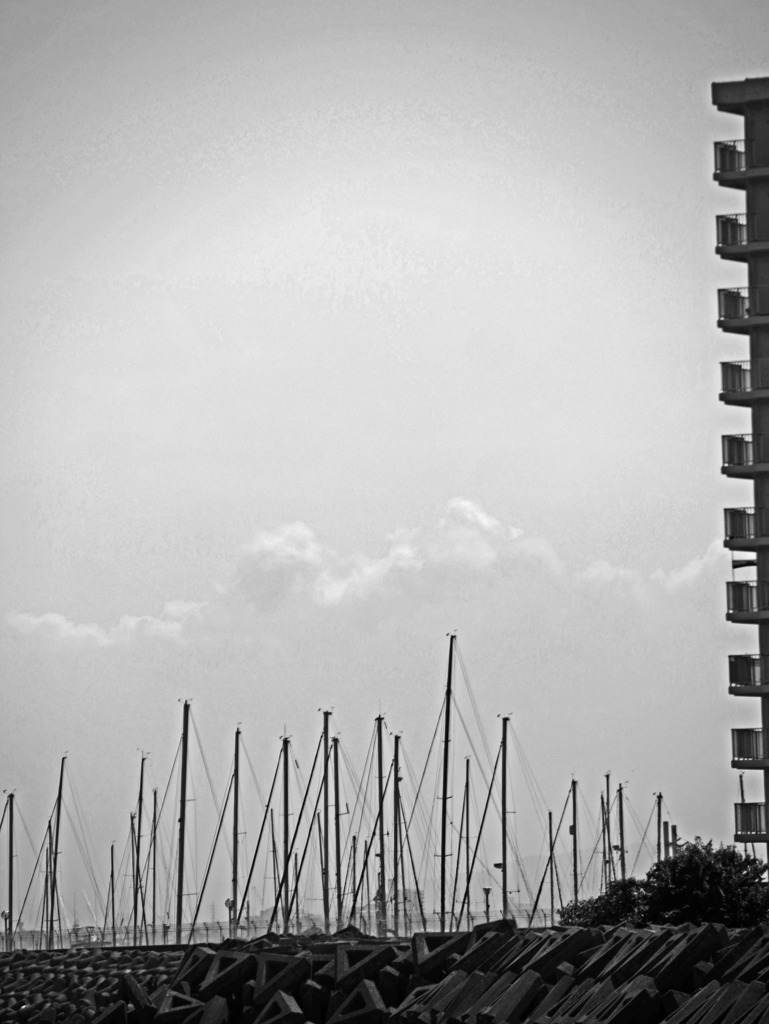 ヨットハーバー　P1360303zz