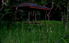 ベンチ　IMGP6535zz