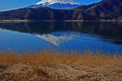 西湖と逆さ富士　IMGP2476zz