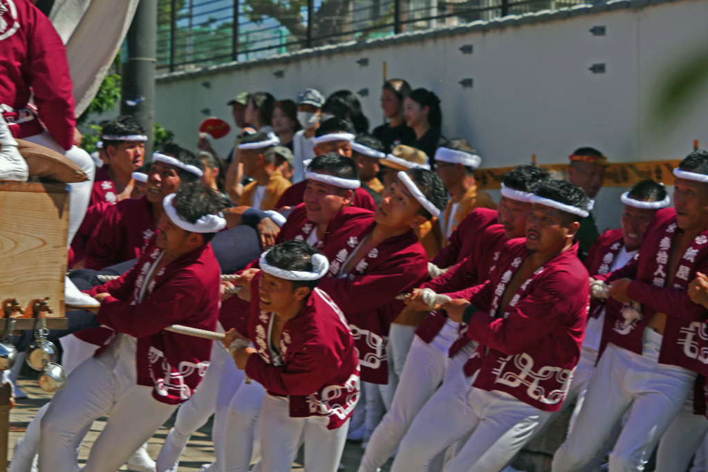 「やりまわし」P1240951zz