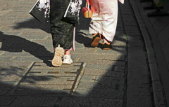 ミスマッチ　IMG8983zz