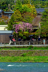 人力車　IMGP6402zz