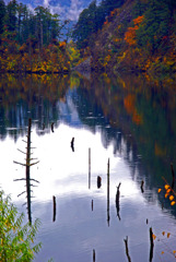小雨降る秋の自然湖　IMGP6343zz