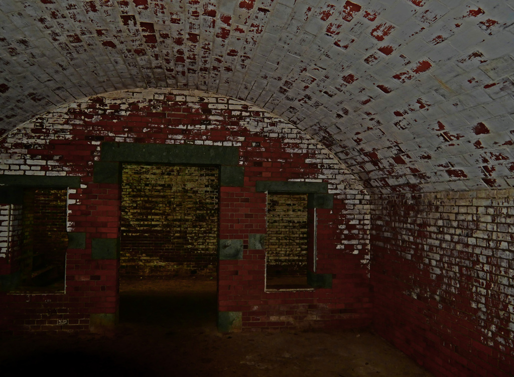 深山第一砲台跡Ⅳ　P1600184zz