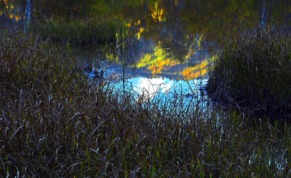 秋を覗く　P1114213zz