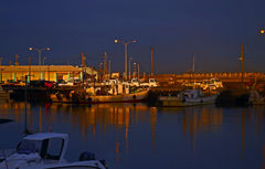 朝日を浴びて　P1470642zz