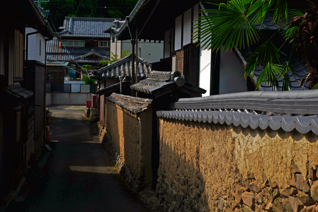 土塀　P1440228zz