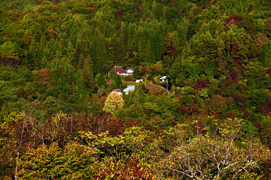 山里の秋　IMGP3382zz