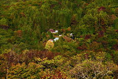 山里の秋　IMGP3382zz