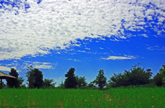 そろそろ秋空　IMGP0964z