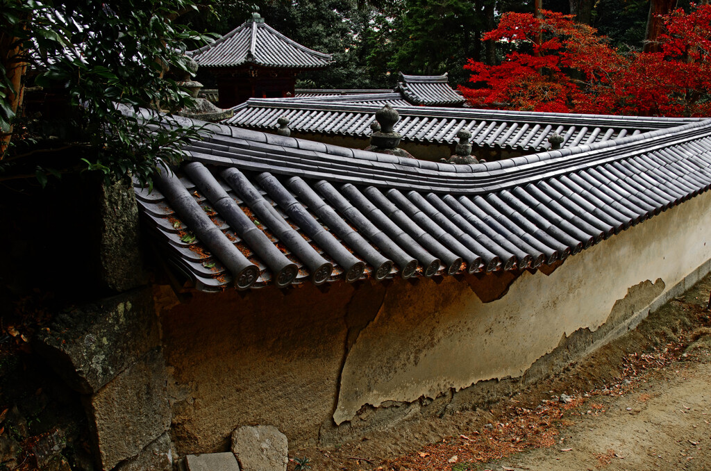 参道　_IGP1582zz