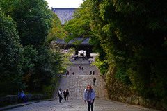 「ヘトヘト〜  　もうひと頑張り！」　IMGP9670zz