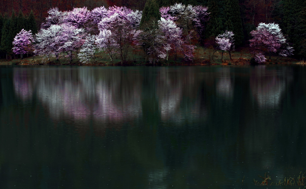 幻影の景　IMGP2811zz
