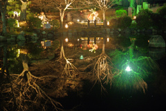 円山公園ライトアップ　IMGP8154z