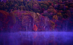 黎明 朝靄の池　IMGP8209zz