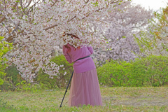 春を撮るひと　IMGP4641z