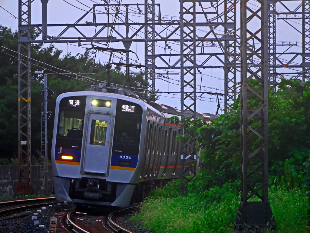 南海本線和歌山市行き普通電車　P1650673zz