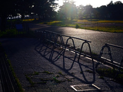 朝陽射す　P1610183zz