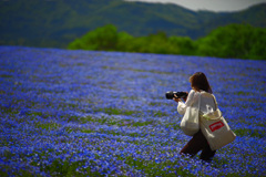 Camerawoman　IMGP3409zz