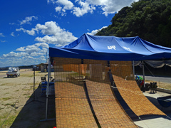 過ぎ去る夏　P1090393zz