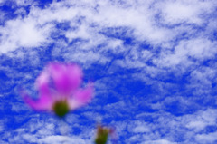 秋の空　IGP7027zz