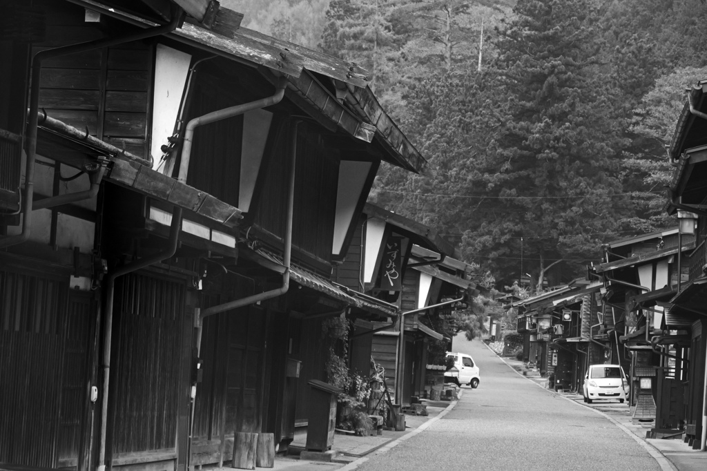 鳥居峠への路　P1057568zz