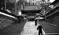 朝の作務　IMGP0008zz