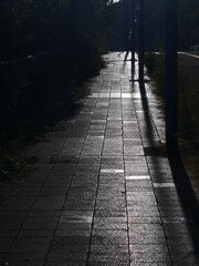 逆光の坂道　P1390938zz