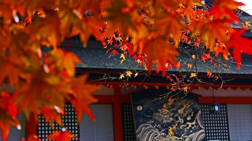 来年の干支?　P1790903zz