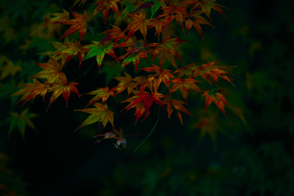 闃寂（げきせき）　IMGP9939z
