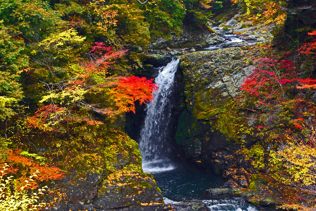 高野の滝 錦繍　IMGP3516z