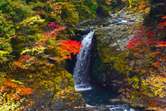 高野の滝 錦繍　IMGP3516z