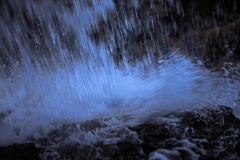 迸り（とばしり）Ⅱ　IMGP9953zz