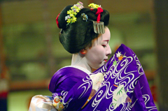 舞妓はん 其の弐　IMGP5681